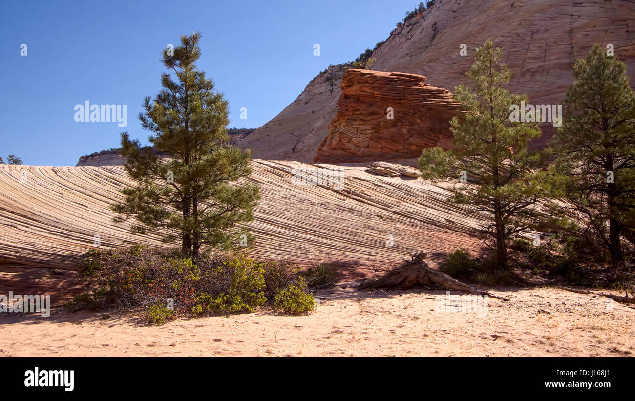 Strange rock formation hi-res stock photography and images - Alamy