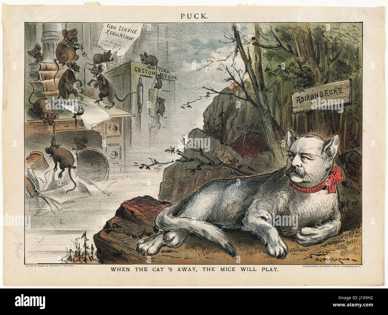 When the cat's away the mice will play Stock Photo Alamy