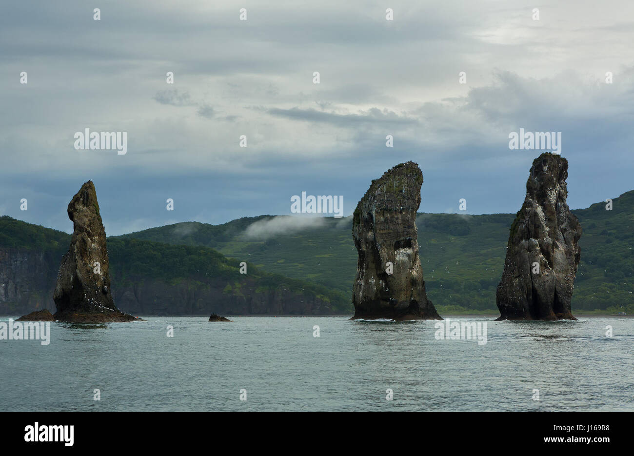 Three Brothers Rocks in the Avacha Bay of Pacific Ocean. Coast of ...