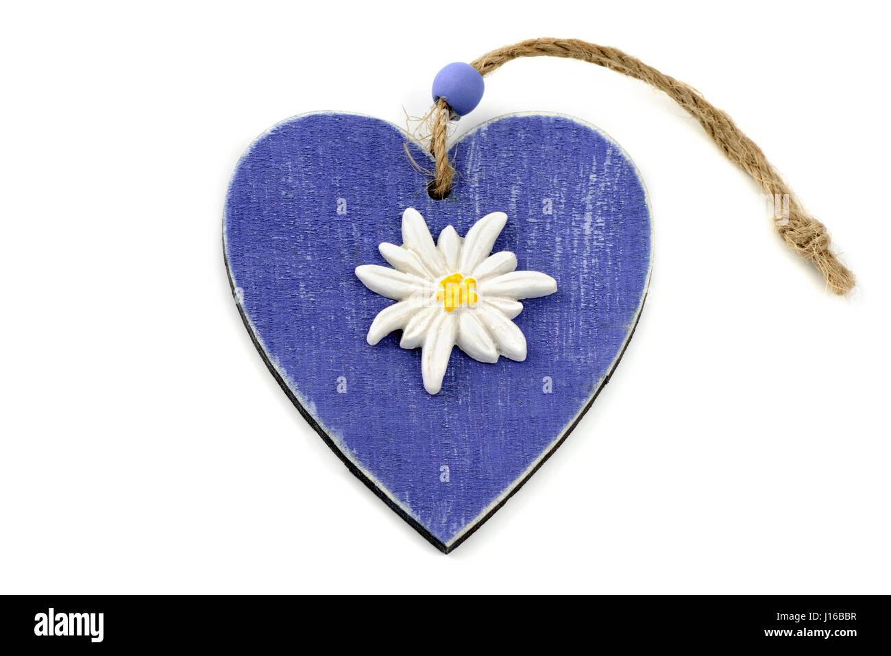 blue wooden heart shape with eidelweiss flower on isolated background Stock Photo