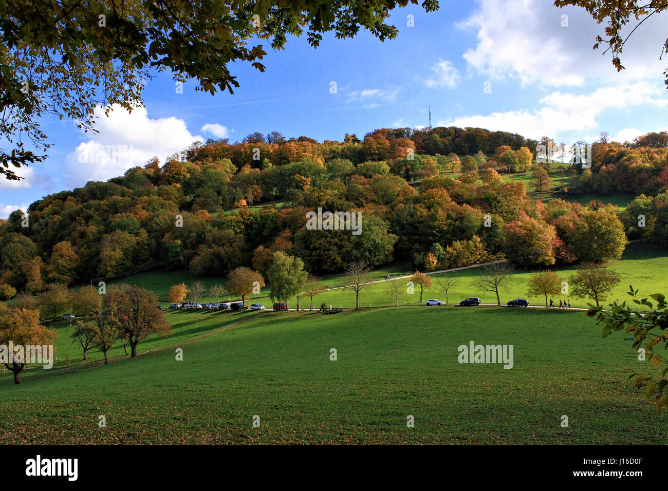Yellow Orange And Red Autumn Leaves Germany Stock Photo Alamy yellow-orange-and-red-autumn-leaves-germany-stock-photo-alamy