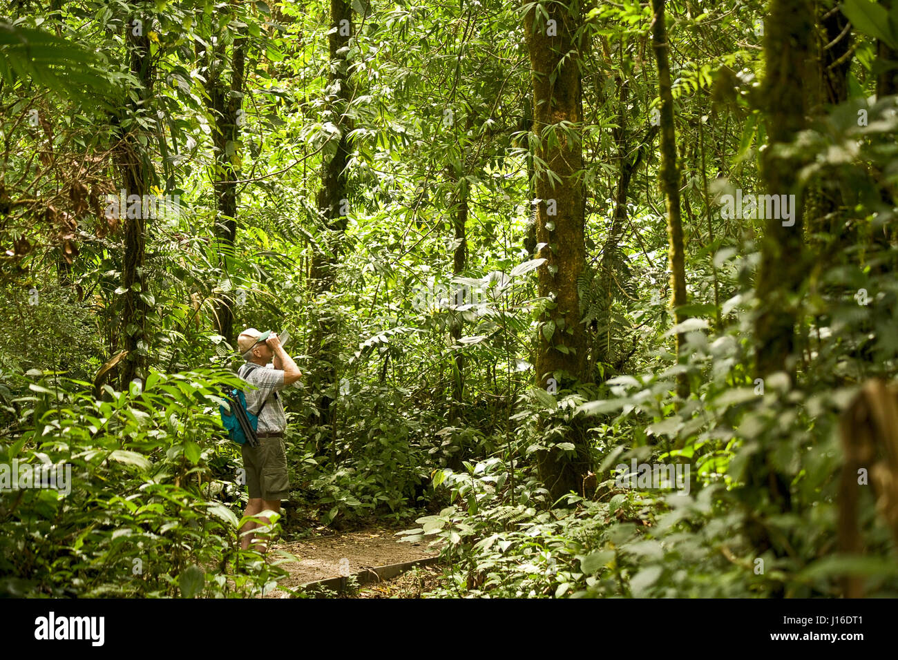 A male hiker looking through binoculars in Monteverde Cloud Forest, Costa Rica Stock Photo