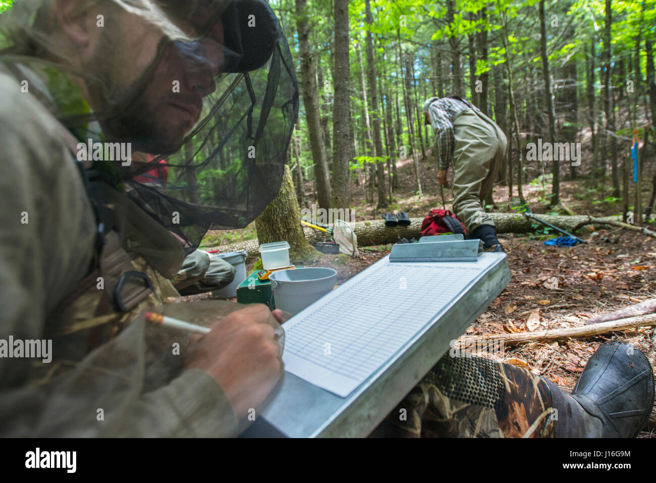 Volunteers Collecting Population Data On Brook Trout In New Hampshire