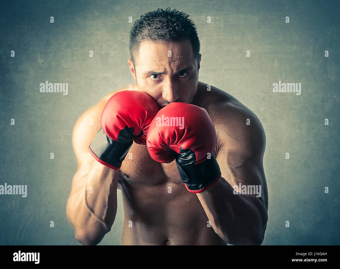 Muscular man with boxing gloves Stock Photo - Alamy