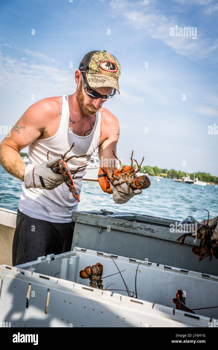 The maine lobsterman hires stock photography and images Alamy