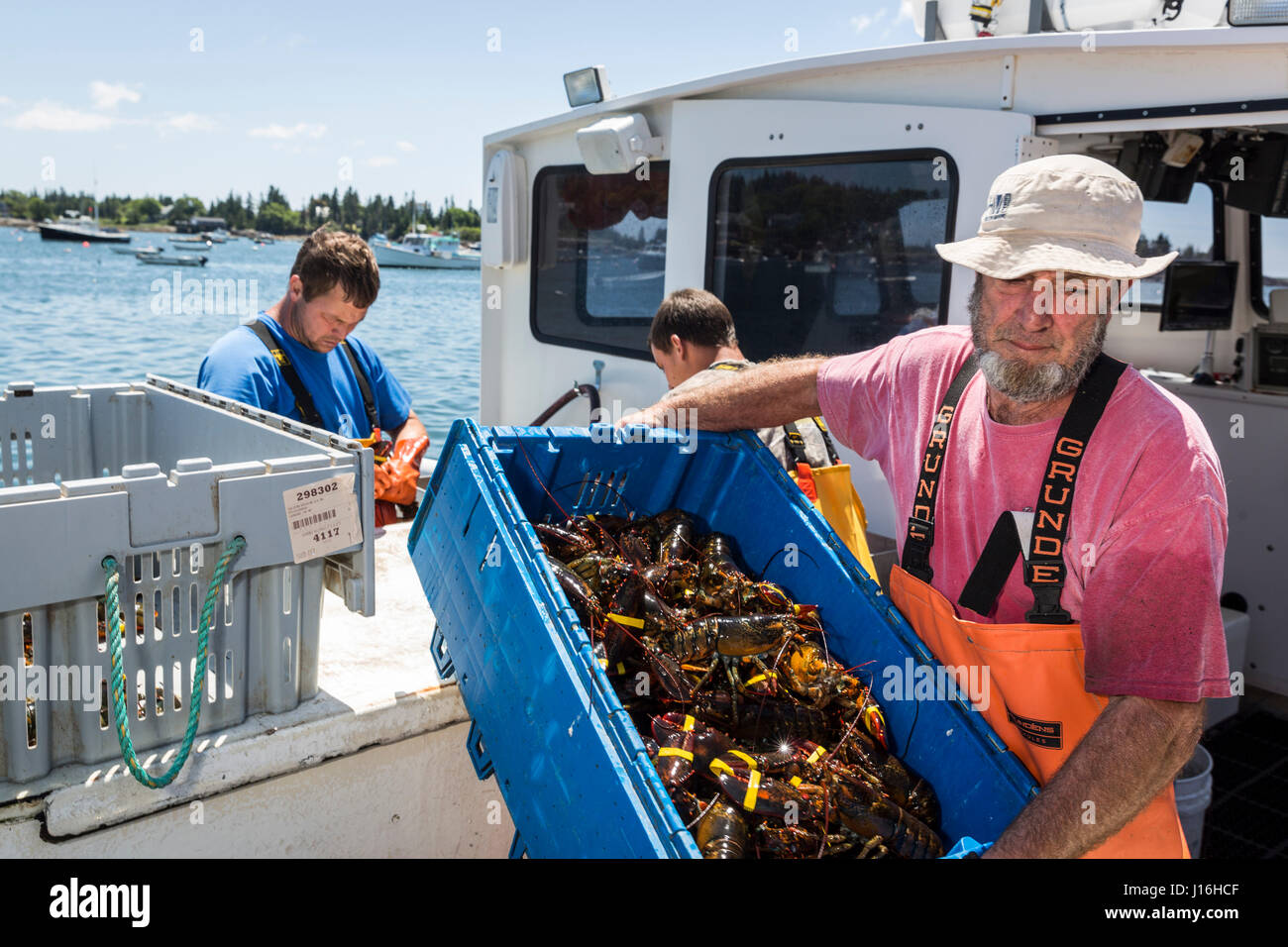Holding lobster boat hires stock photography and images Alamy
