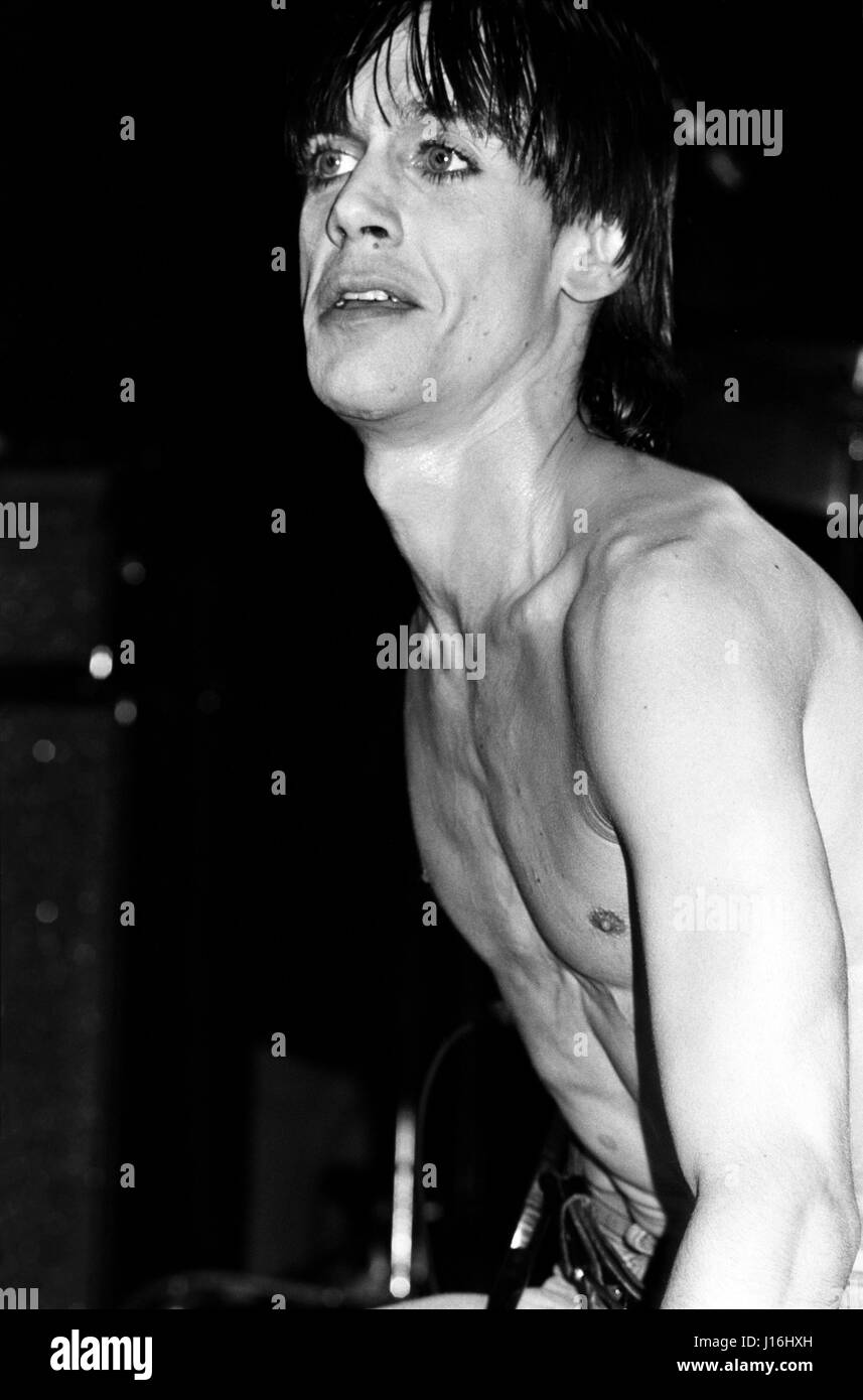 Iggy Pop performing on The Idiot World tour at the Tower Theatre.  Philadelphia, PA. March 19th, 1977. © mpi09 / MediaPunch Stock Photo - Alamy