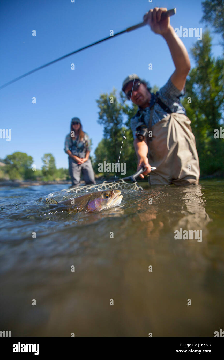 A Man With A Small Rainbow Trout In Fishing Net On Big Wood River