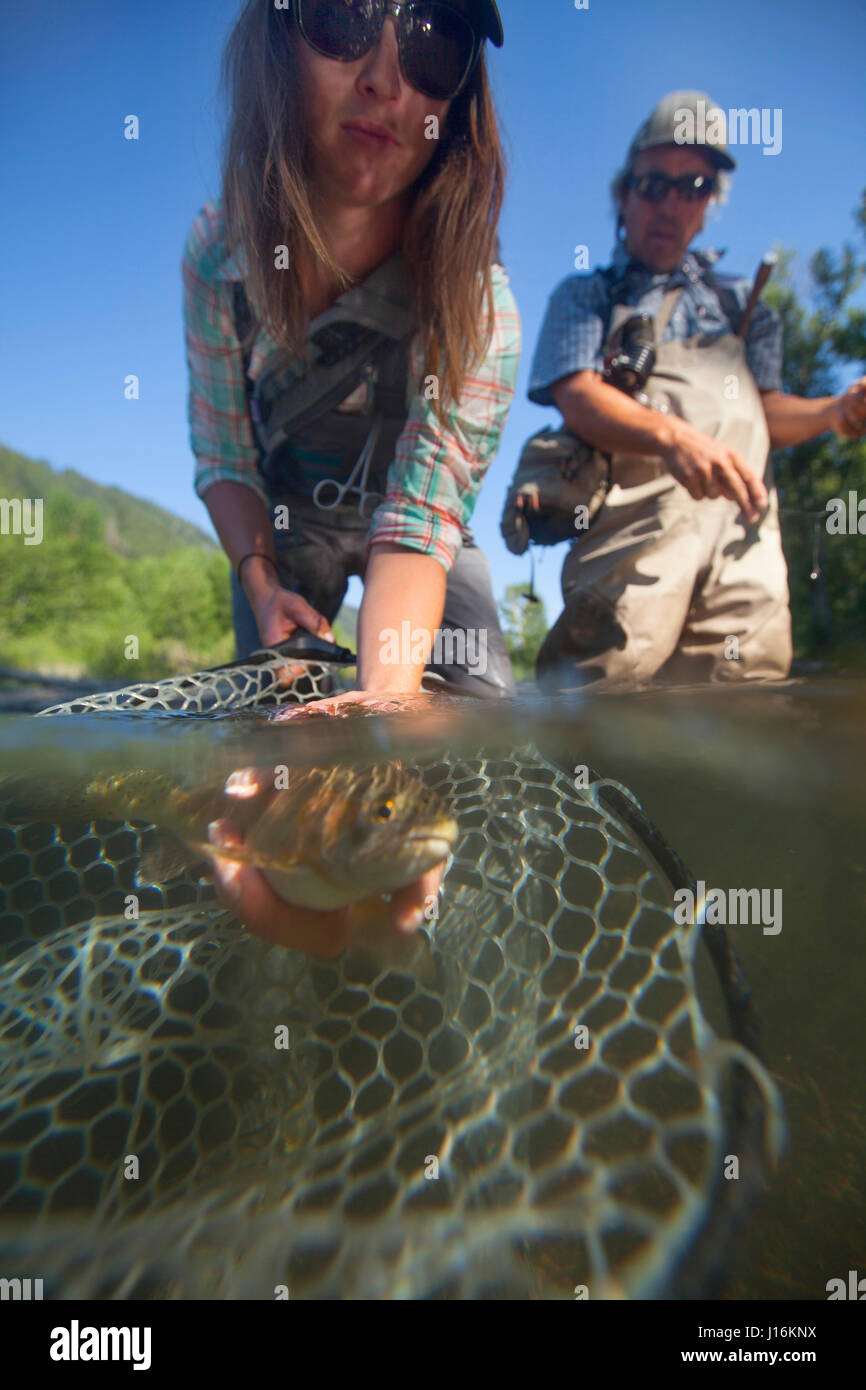 A Woman Catches A Small Rainbow Trout On Big Wood River, Ketchum, Idaho Stock Photo