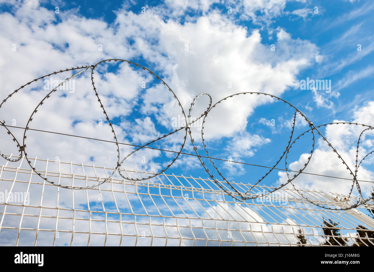 Barbed wire against the blue sky background. Protective fencing