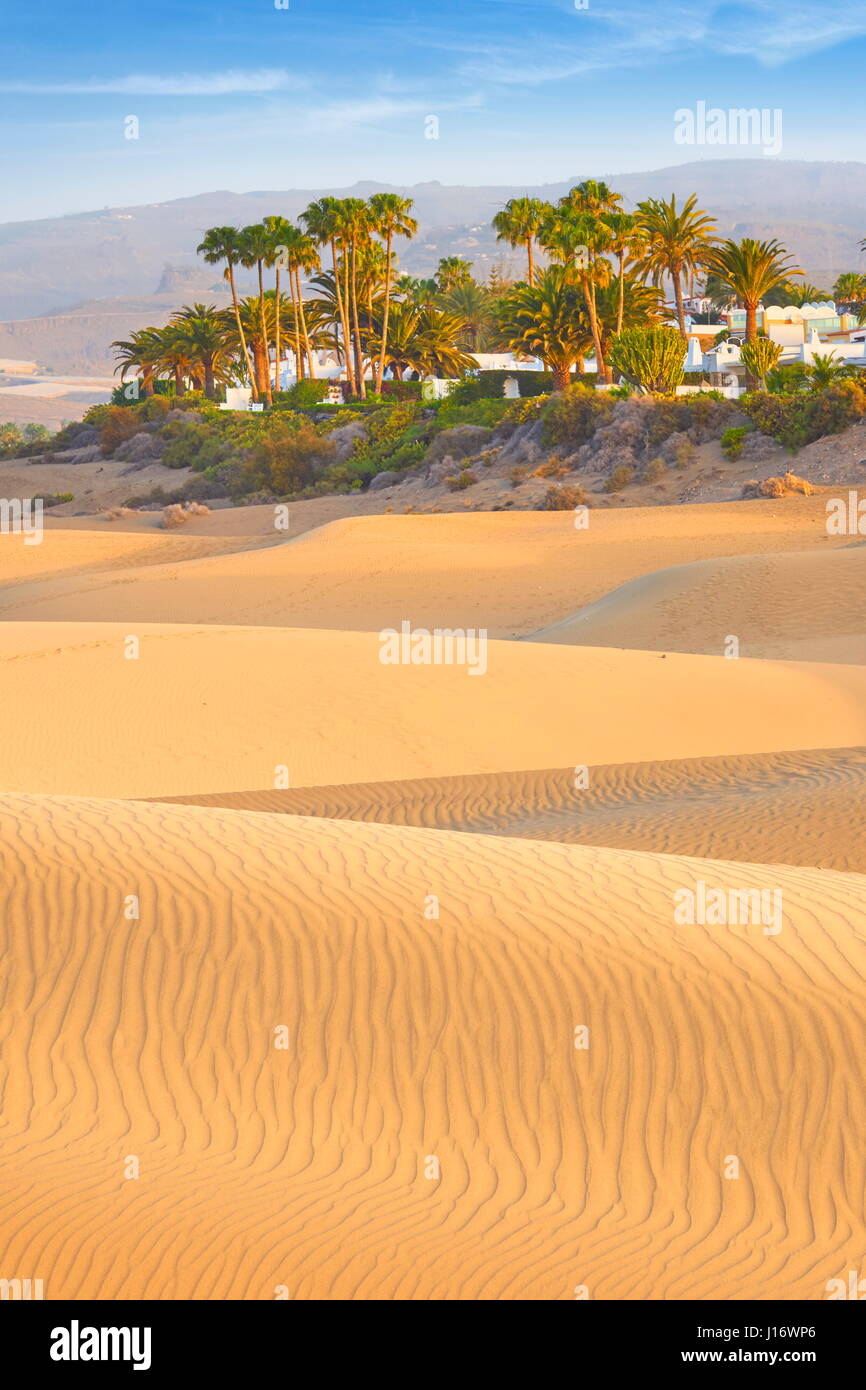Canary Islands, Gran Canaria, Maspalomas Sand Dunes National Park, spain Stock Photo