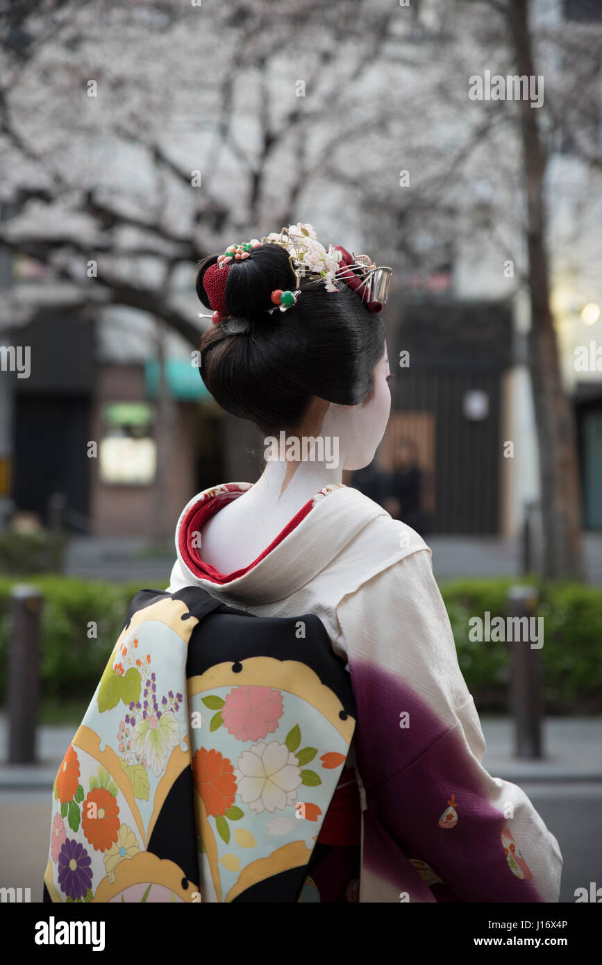 Maiko ( trainee geisha )  waiting for taxi on Kiyamachi-dori street in Higashiyama nr. Gion, Kyoto, Japan Stock Photo