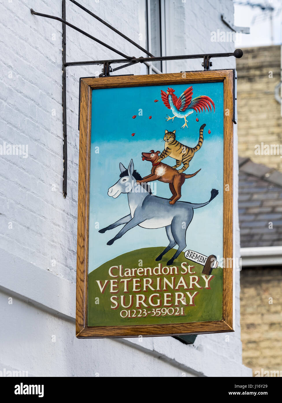 veterinary surgery sign in cambridge the illustration is based on J16Y29
