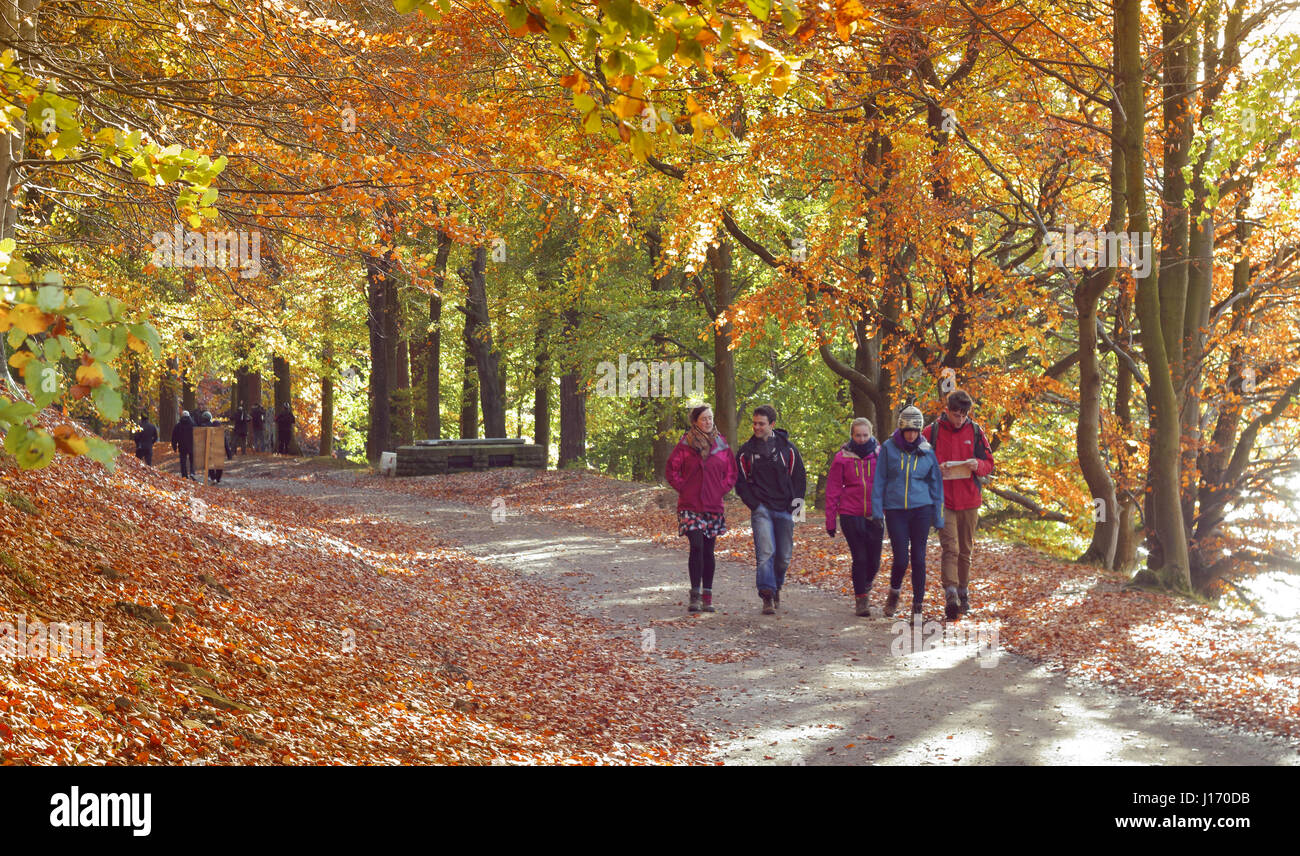 Walkers on a dramatic woodland footpath on the reservoirs circuit in the scenic Upper Derwent Valley Peak District National Park Derbyshire UK autumn Stock Photo