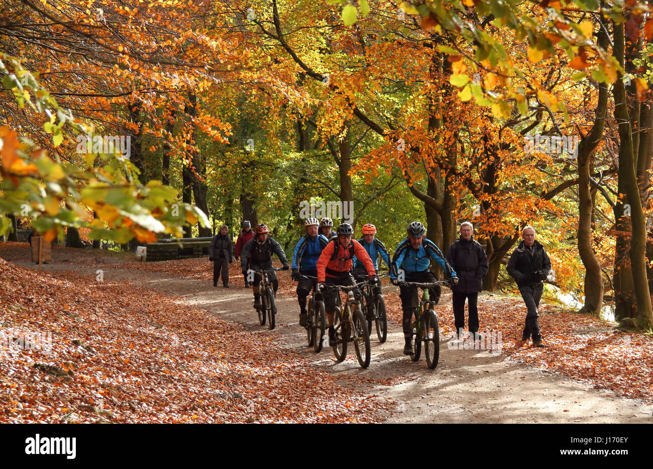 Cyclists on the Upper Derwent Valley reservoirs circuit in autumn, Peak District National Park, Derbyshire EnglandUK Stock Photo