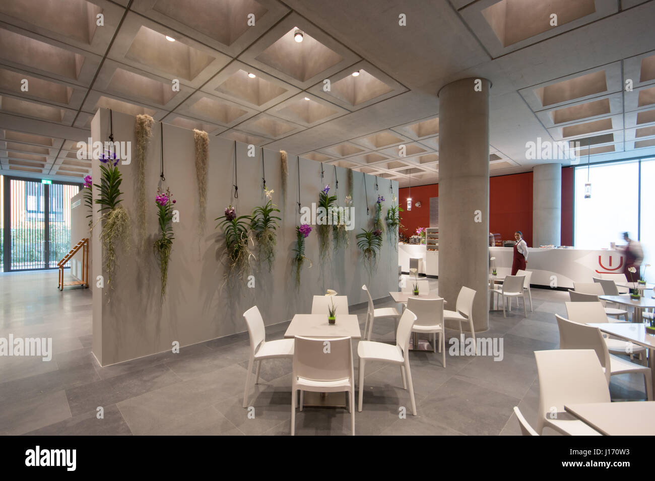 mudec museum of cultures in milan designed by david chipperfield architects cafe interior view stock photo alamy