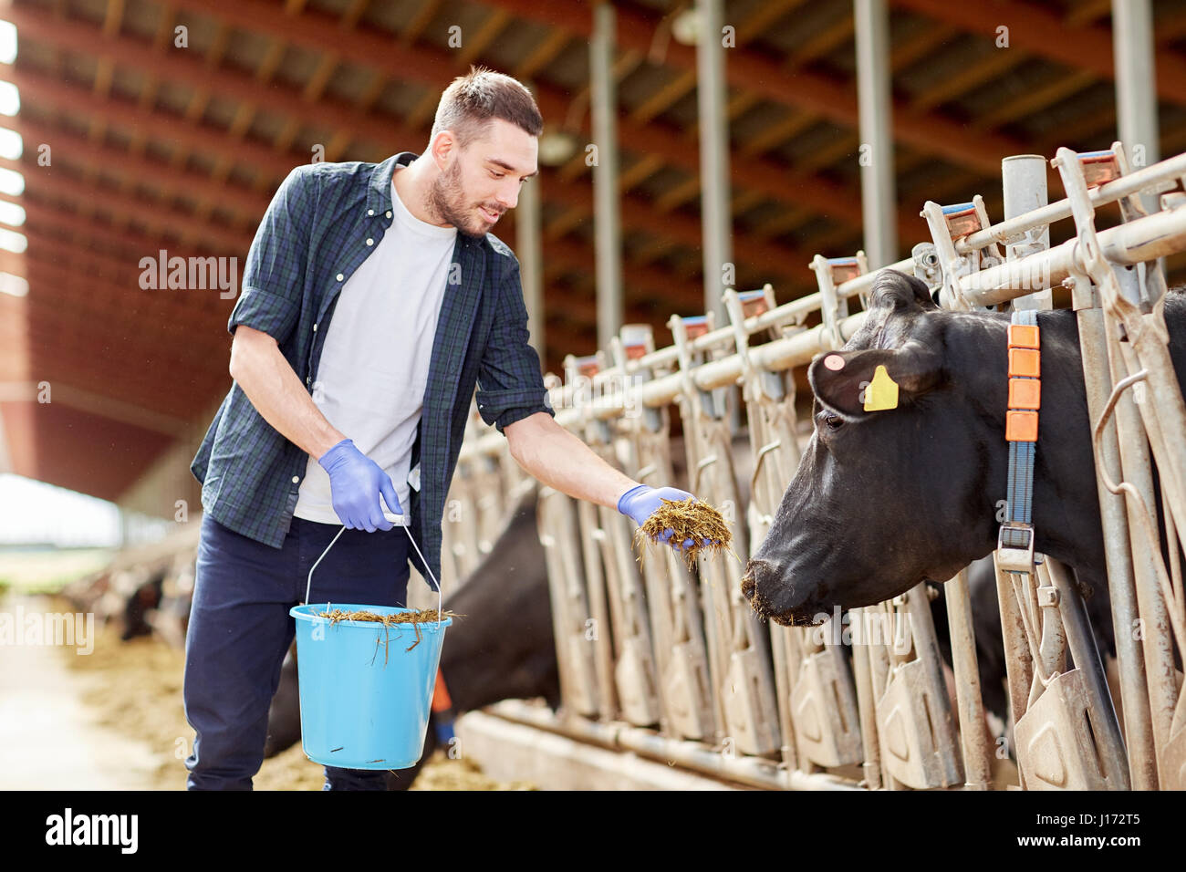 The pooling of interest method. Молочные фермы в индии. Feed fish at home. Растительные корма. Миска для корма для собак.