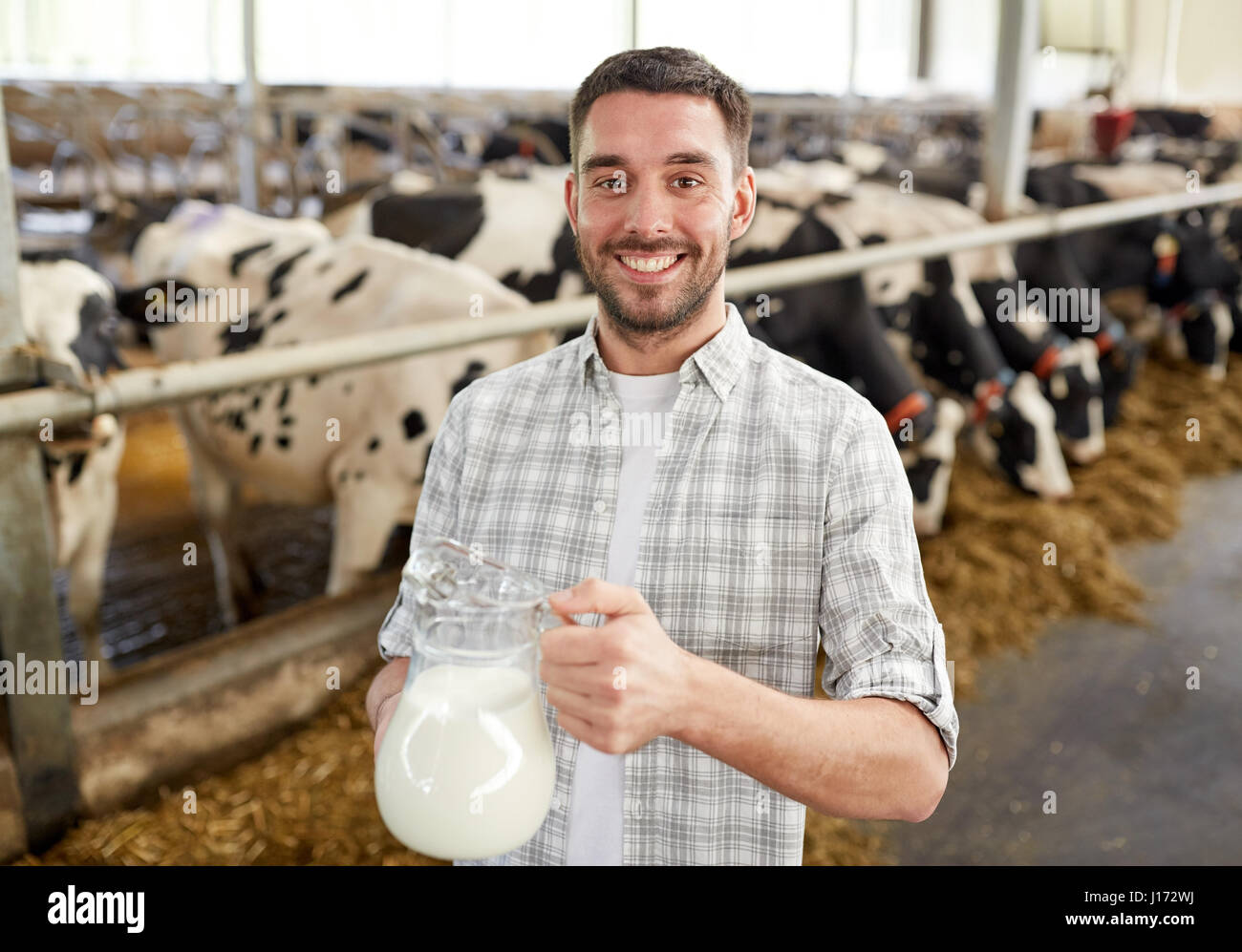 man or farmer with cows milk on dairy farm Stock Photo - Alamy