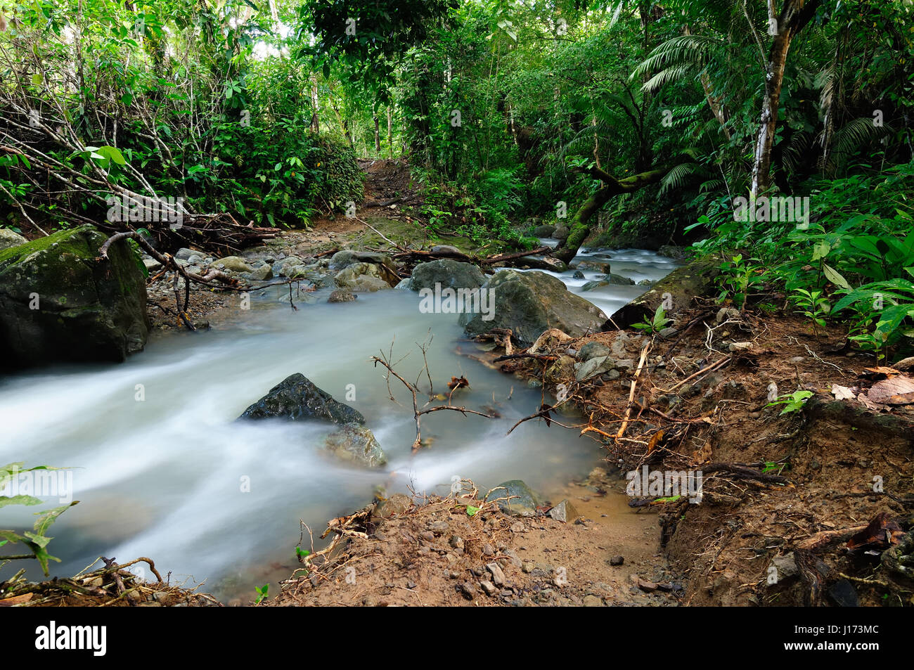 Panama, wild Darien jungle near Colombia border. Central America Stock