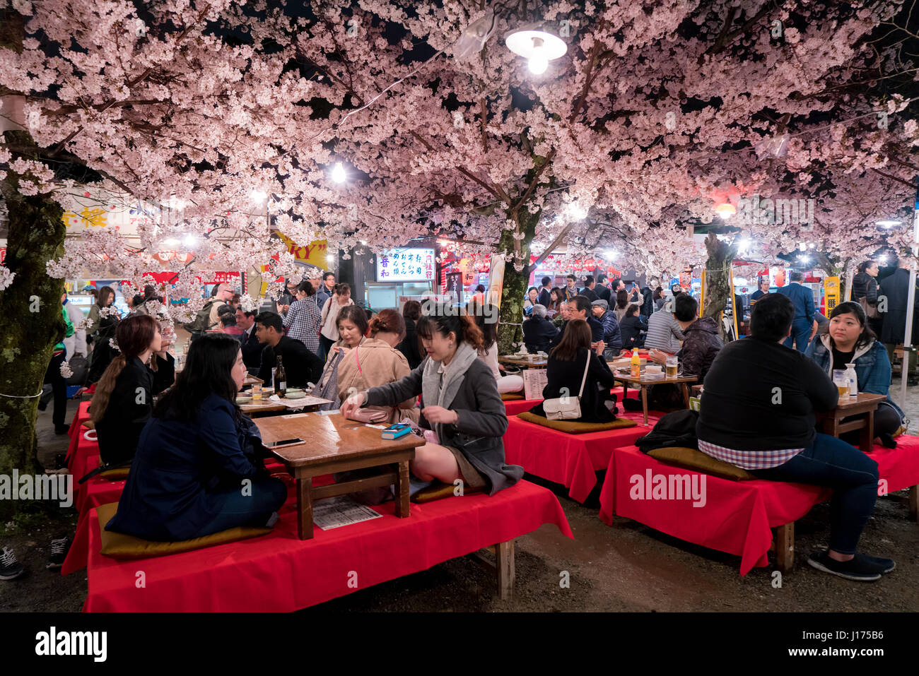 KYOTO, JAPAN - APRIL 7, 2017: Japan crowds enjoy the spring cherry blossoms in Kyoto by partaking in seasonal night Hanami festivals in Maruyama Park  Stock Photo
