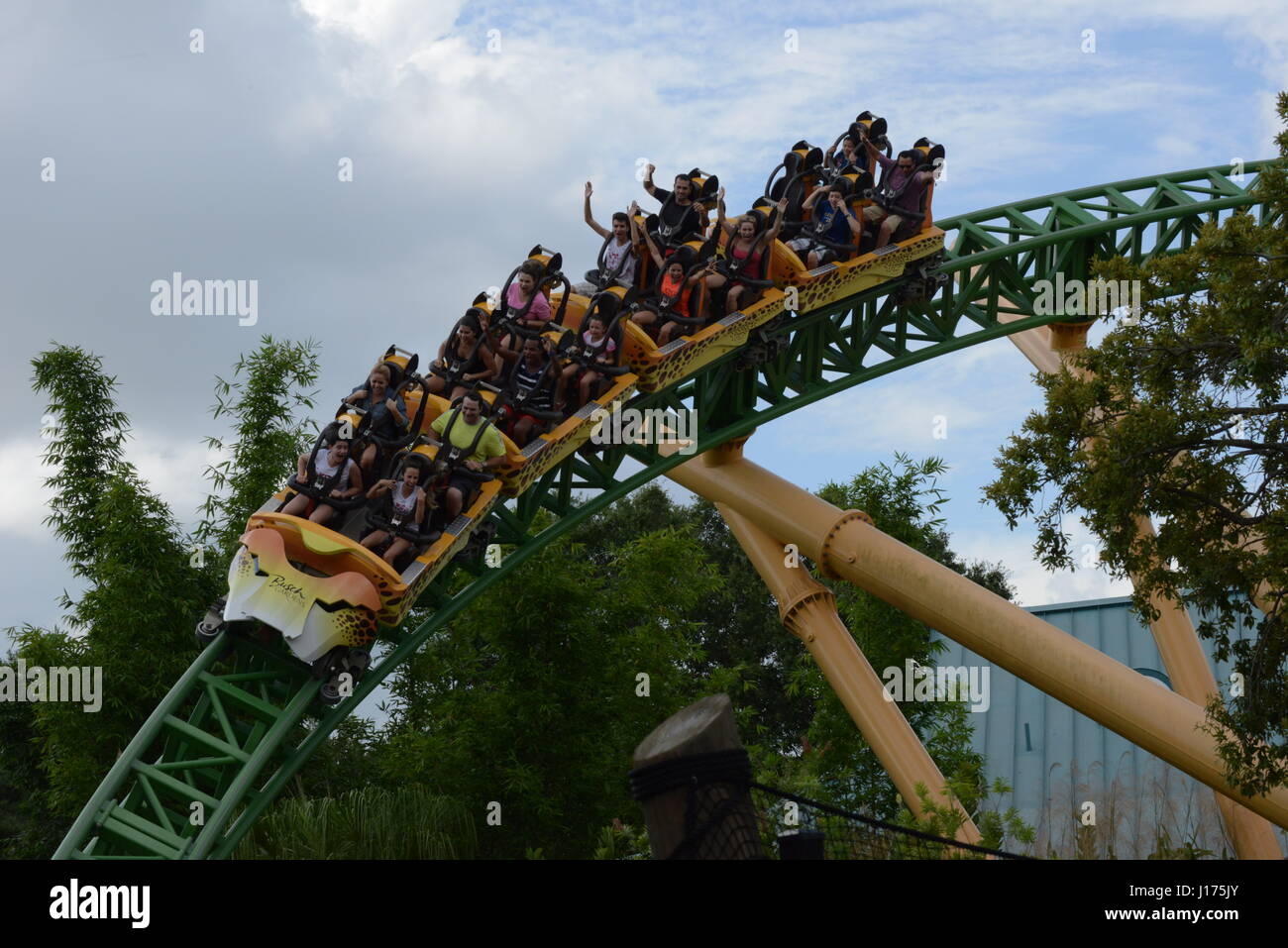 theme park roller coasters full of people wild faces screaming Stock Photo  - Alamy