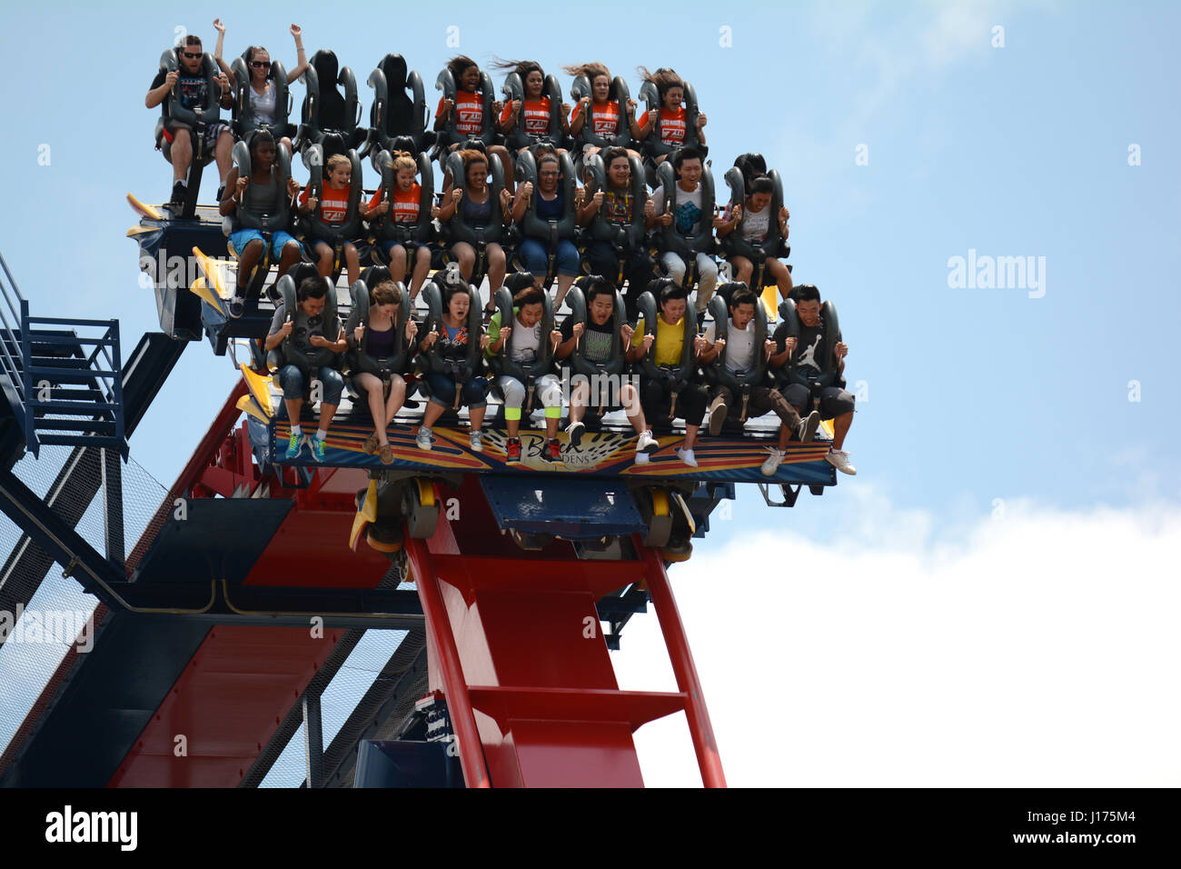 theme park roller coasters full of people wild faces screaming Stock Photo  - Alamy