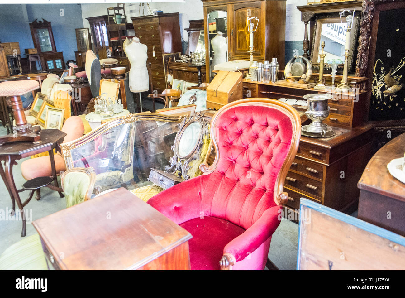 The white star liverpool hires stock photography and images Alamy