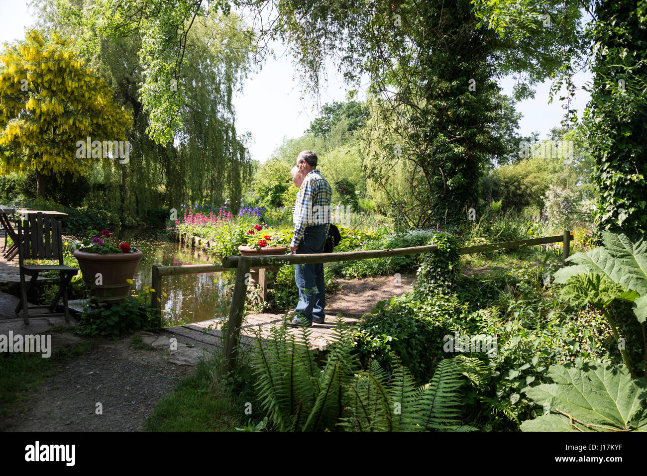 Westonbury Mill Water Garden at Pembridge in Herefordshire, Britain