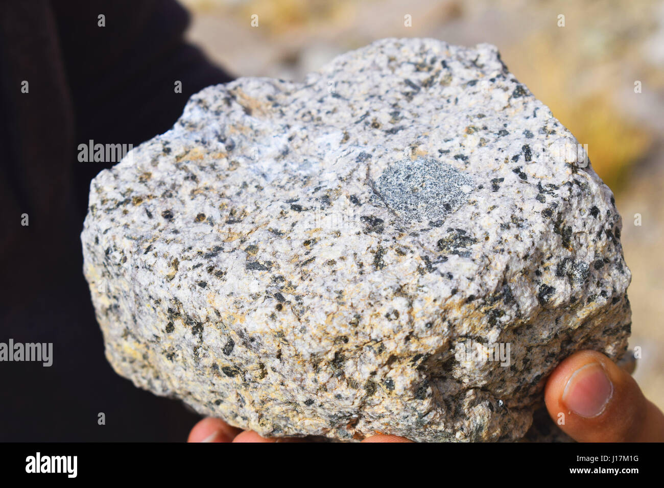 some of the pictures I took for my  science project in geology Stock Photo