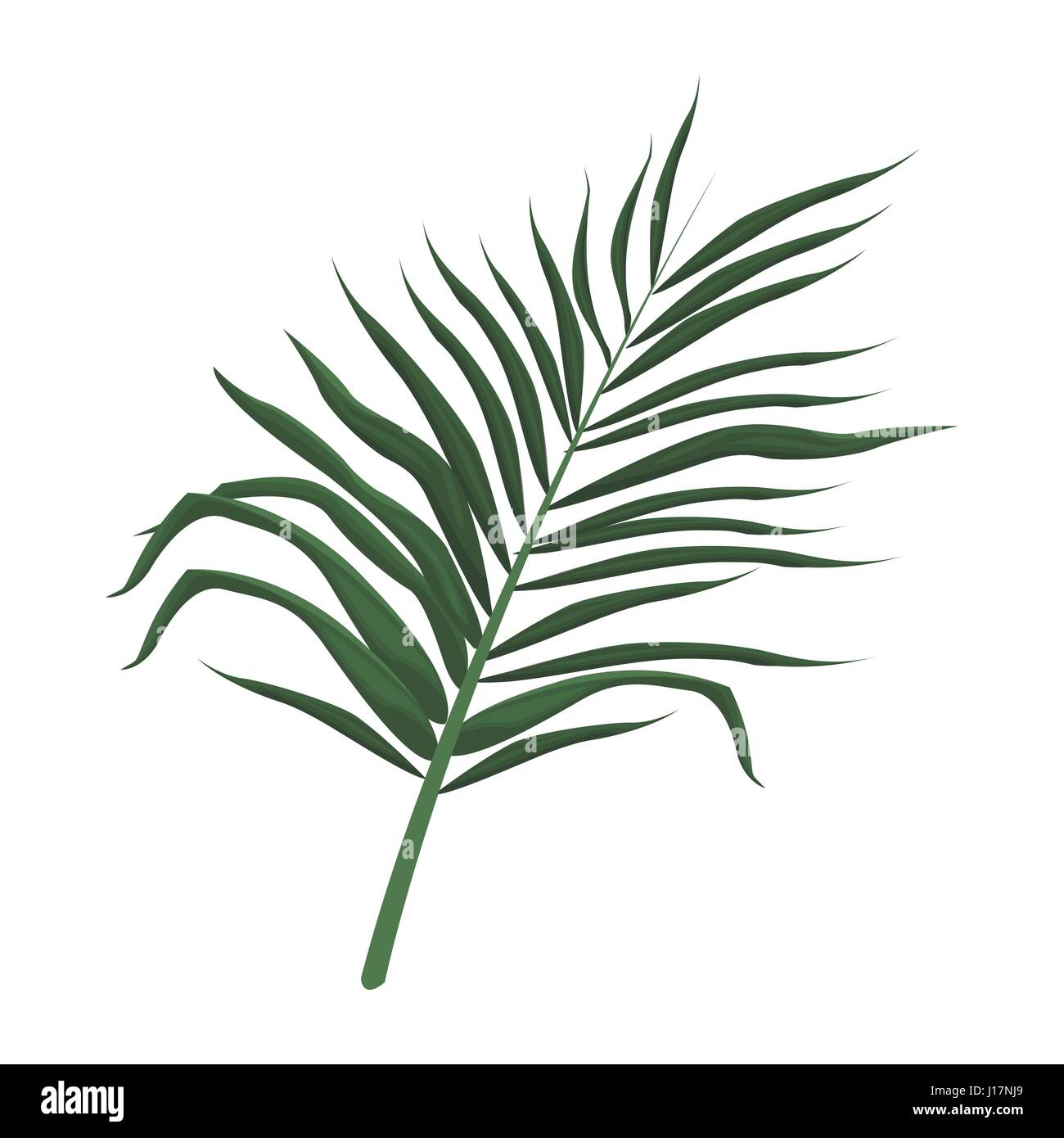tropical leave palm tree image Stock Vector Image & Art - Alamy
