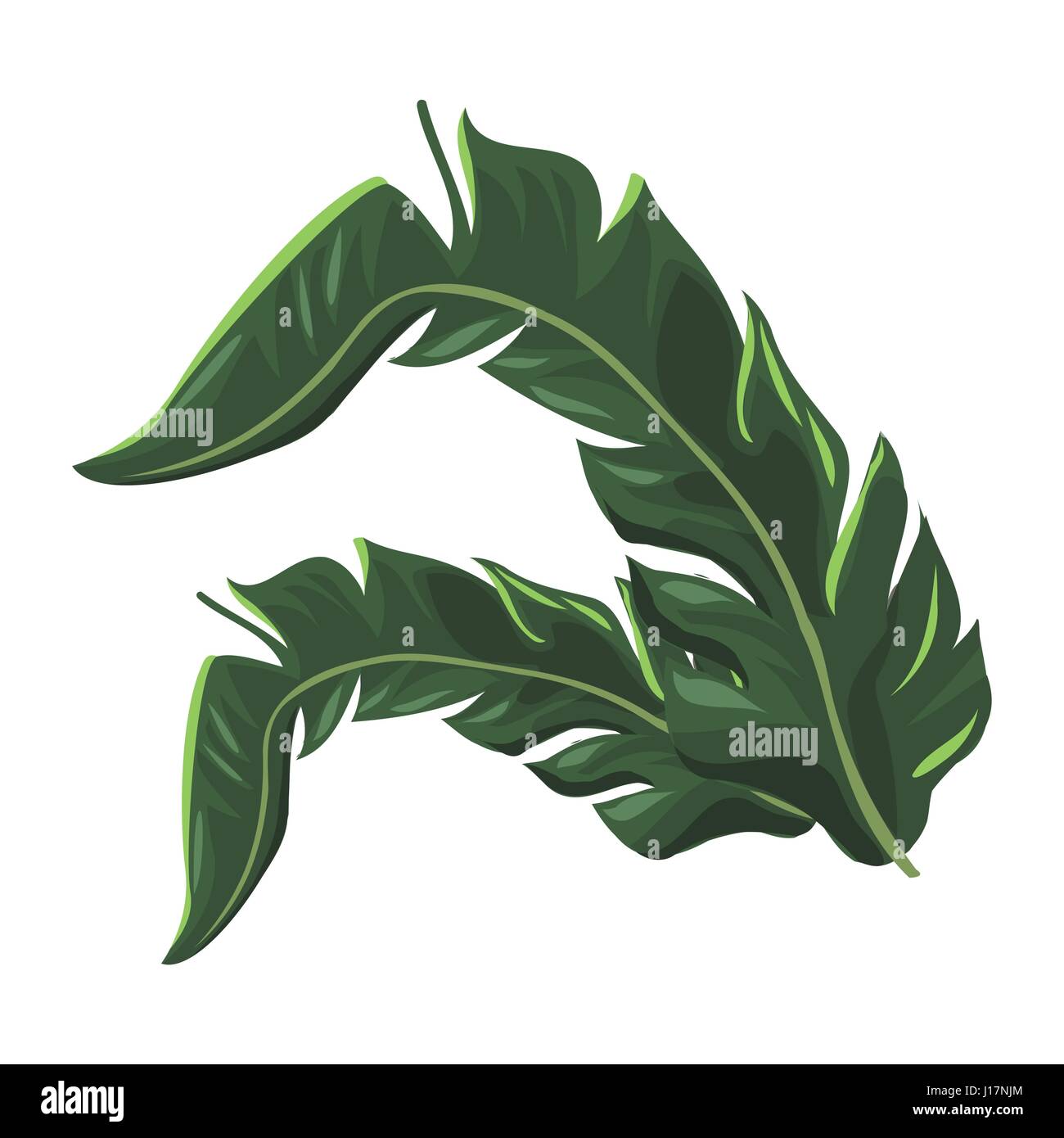 tropical leave palm tree image Stock Vector Image & Art - Alamy