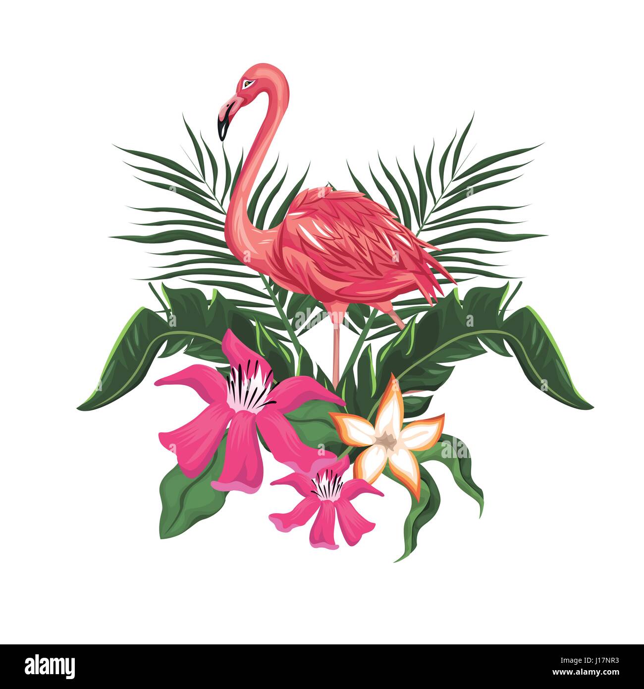 flamingo flowers exotic tropical bird Stock Vector Image & Art - Alamy