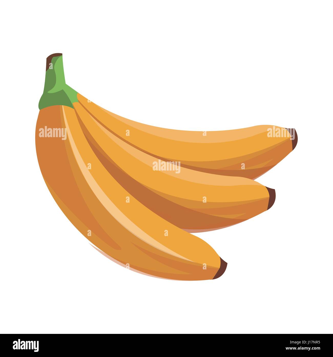banana fruit tropical food Stock Vector Image & Art - Alamy