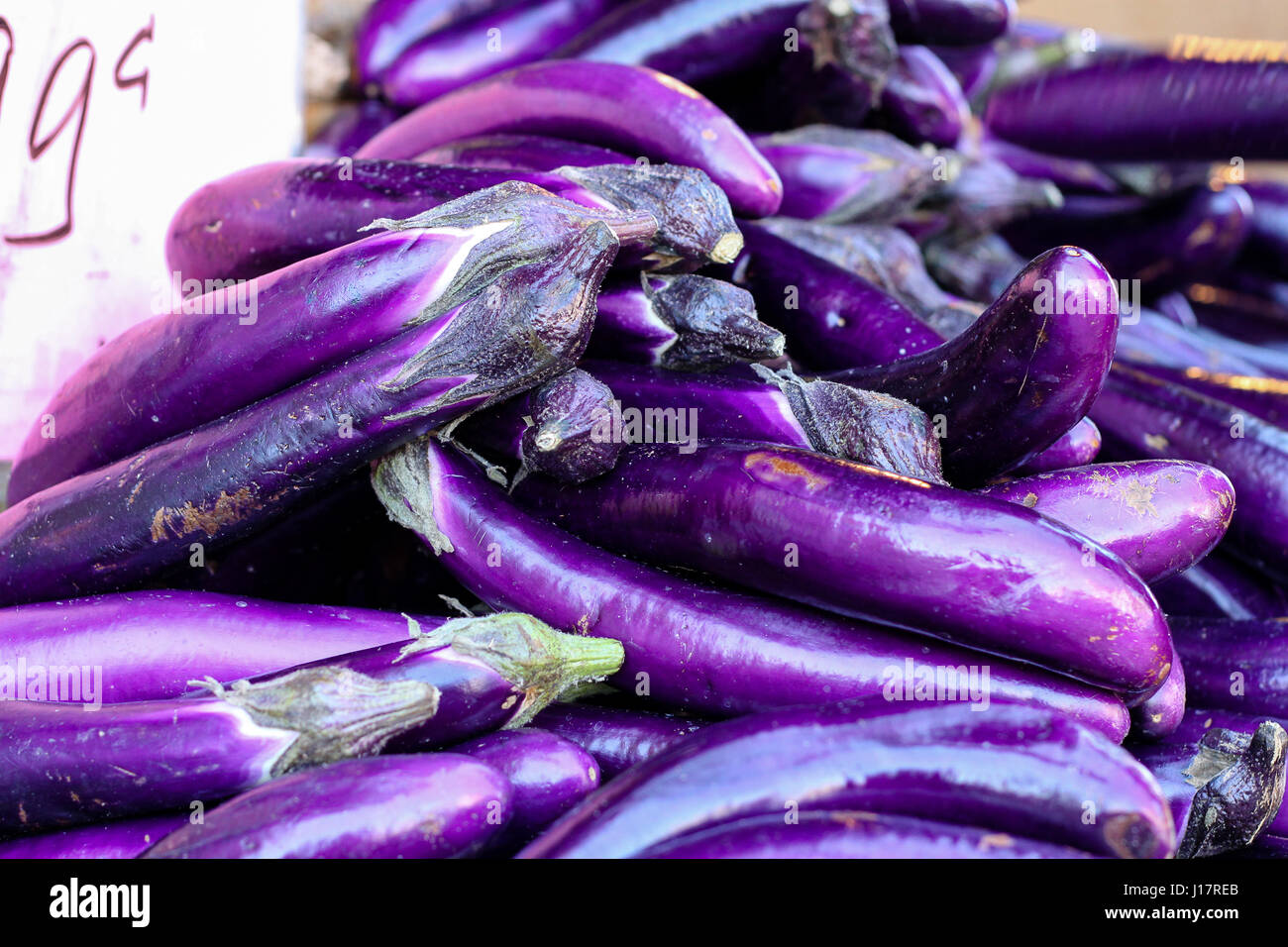 Food. Vivid and glossy, purple eggplant known as Japanese eggplant for