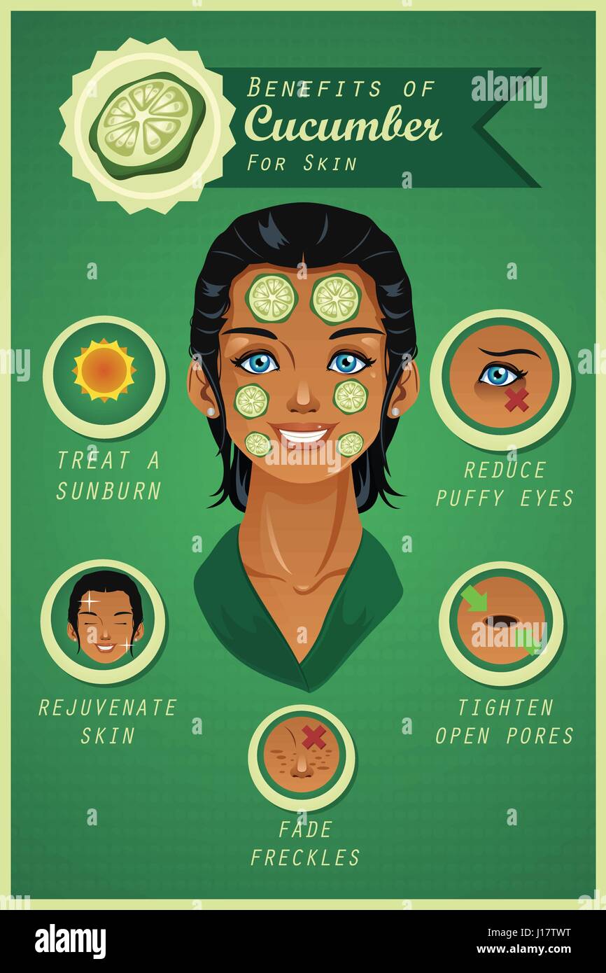 A vector illustration of benefit of cucumber for skin infographic Stock