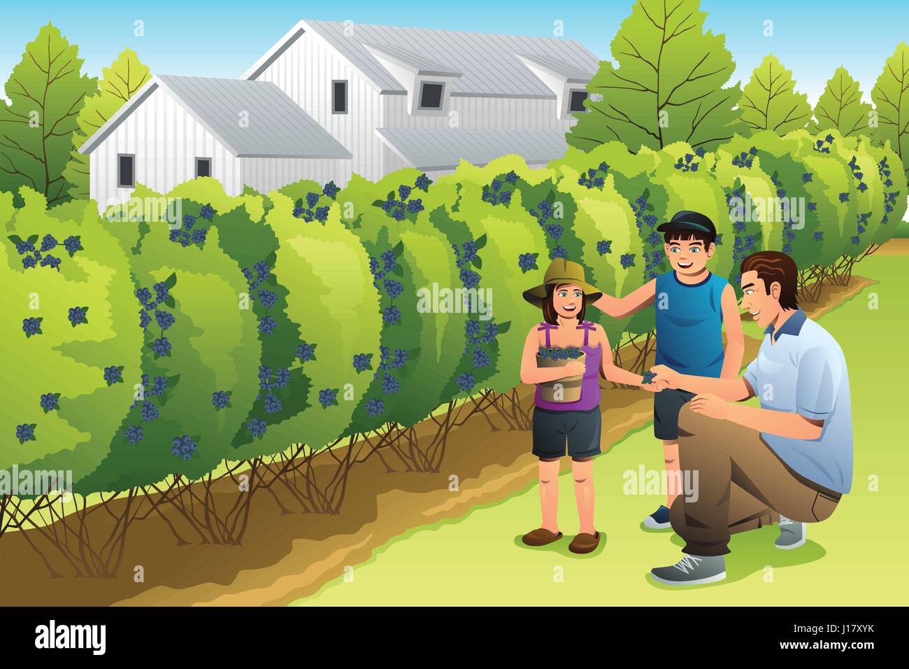 A vector illustration happy kids harvesting blueberry together with