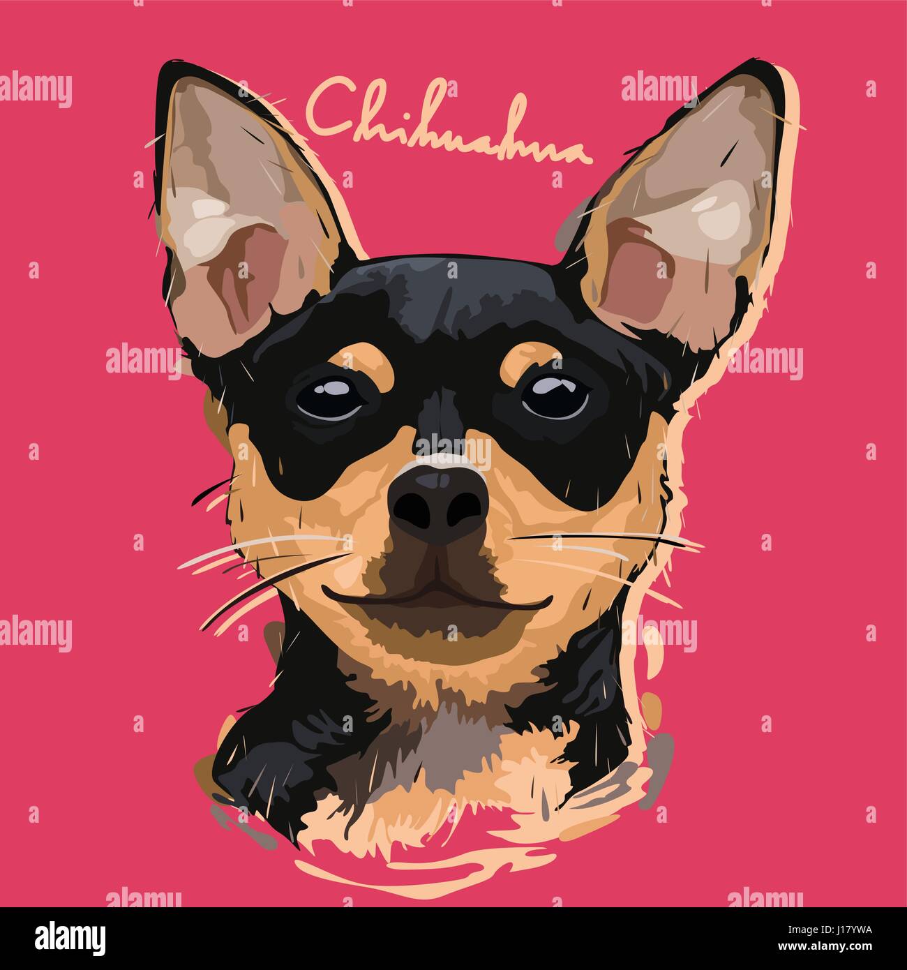 Chihuahua vector vectors hi-res stock photography and images - Alamy