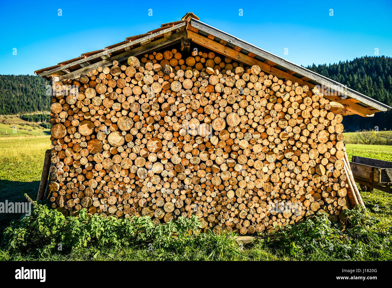 Pile or stack of natural fire wood logs under roof. Big stack of fire wood logs are protected from weather, by being under a roof or a house in a fiel Stock Photo