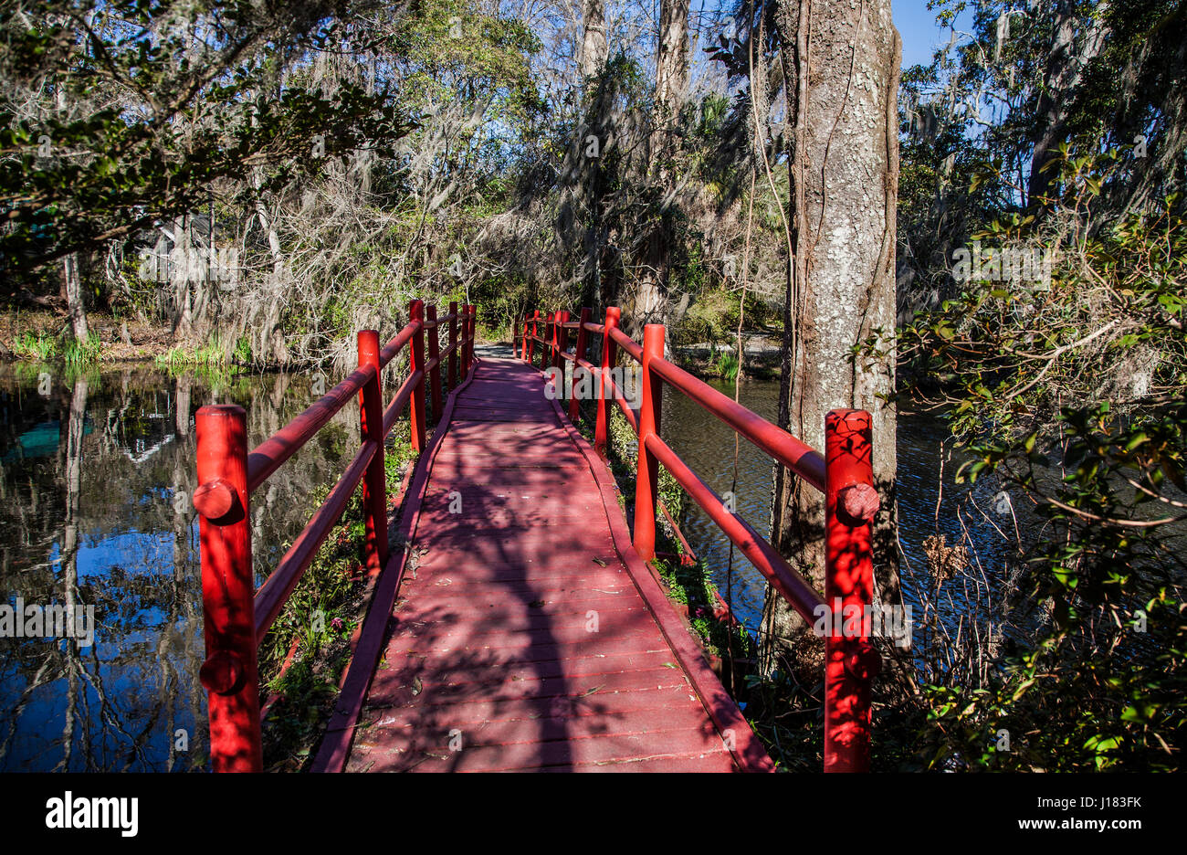 Red garden bridge, Magnolia Plantation, Charleston, South Carolina, USA, botanical gardens slave plantation, SC bridges abstract, formal garden US Stock Photo