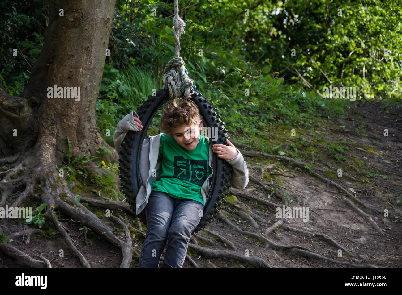 Boy playing on rope swing, UK Stock Photo - Alamy