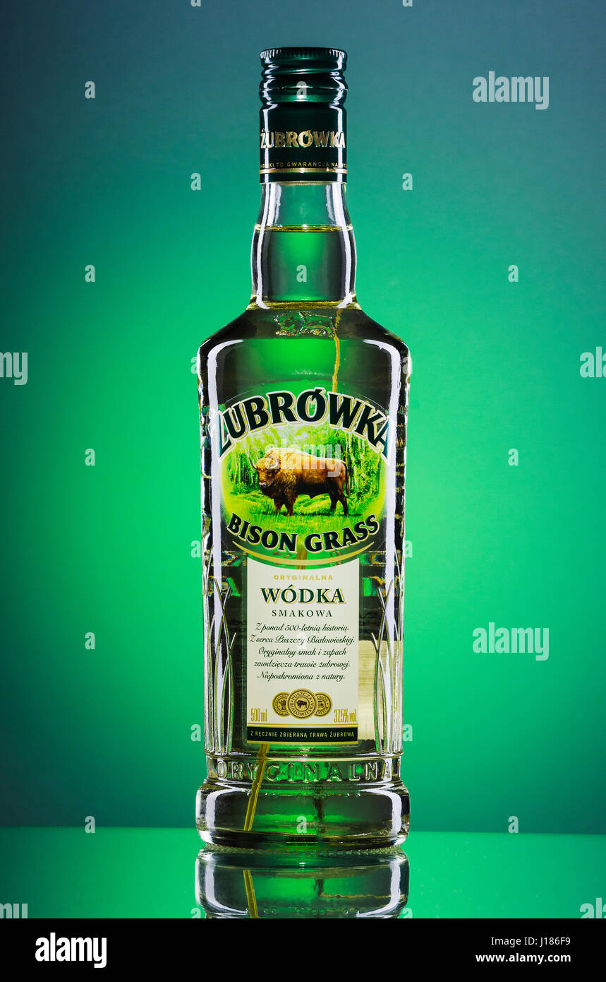 Zubrowka grass  flavored vodka on green gradient background Stock Photo