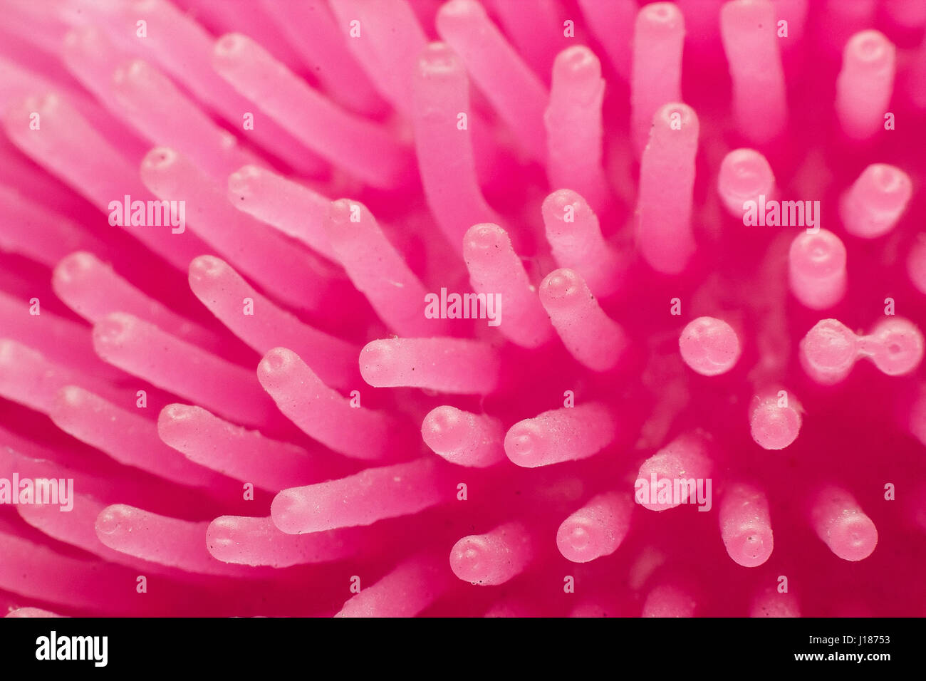 Abstrack pink anemone like texture background Stock Photo