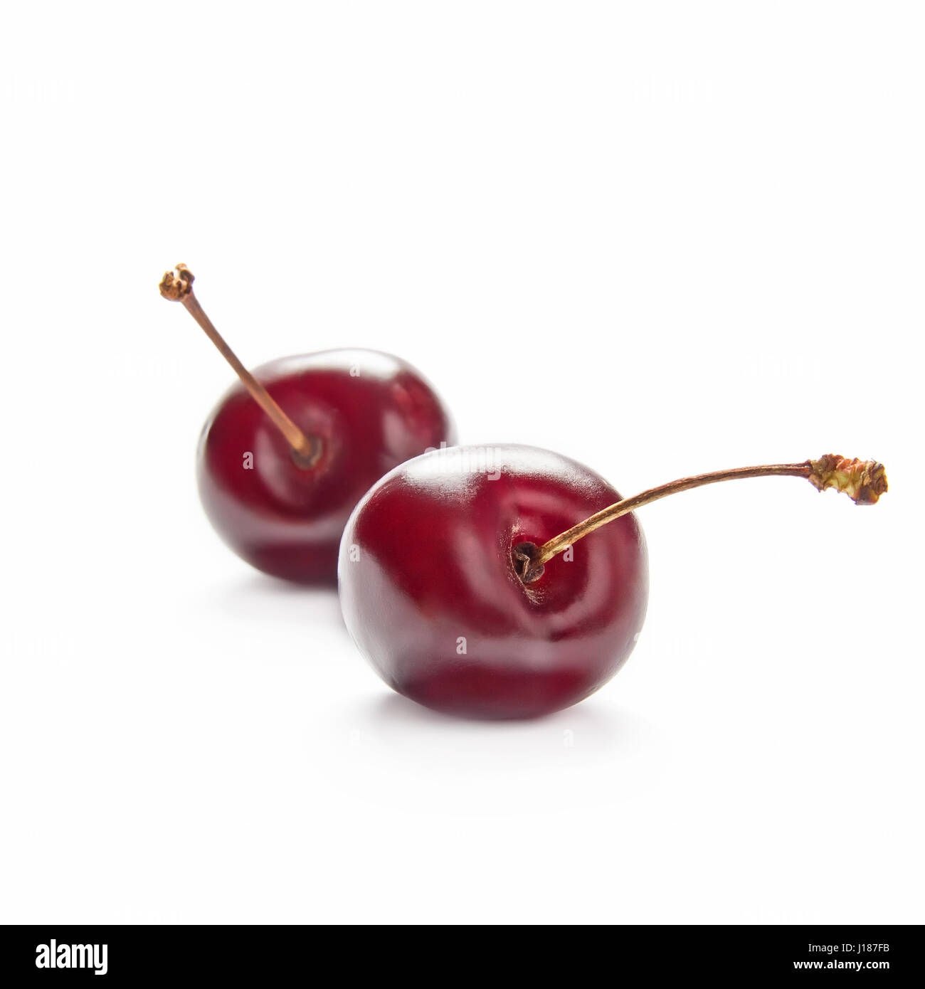 Two cherries isolate on white background Stock Photo - Alamy