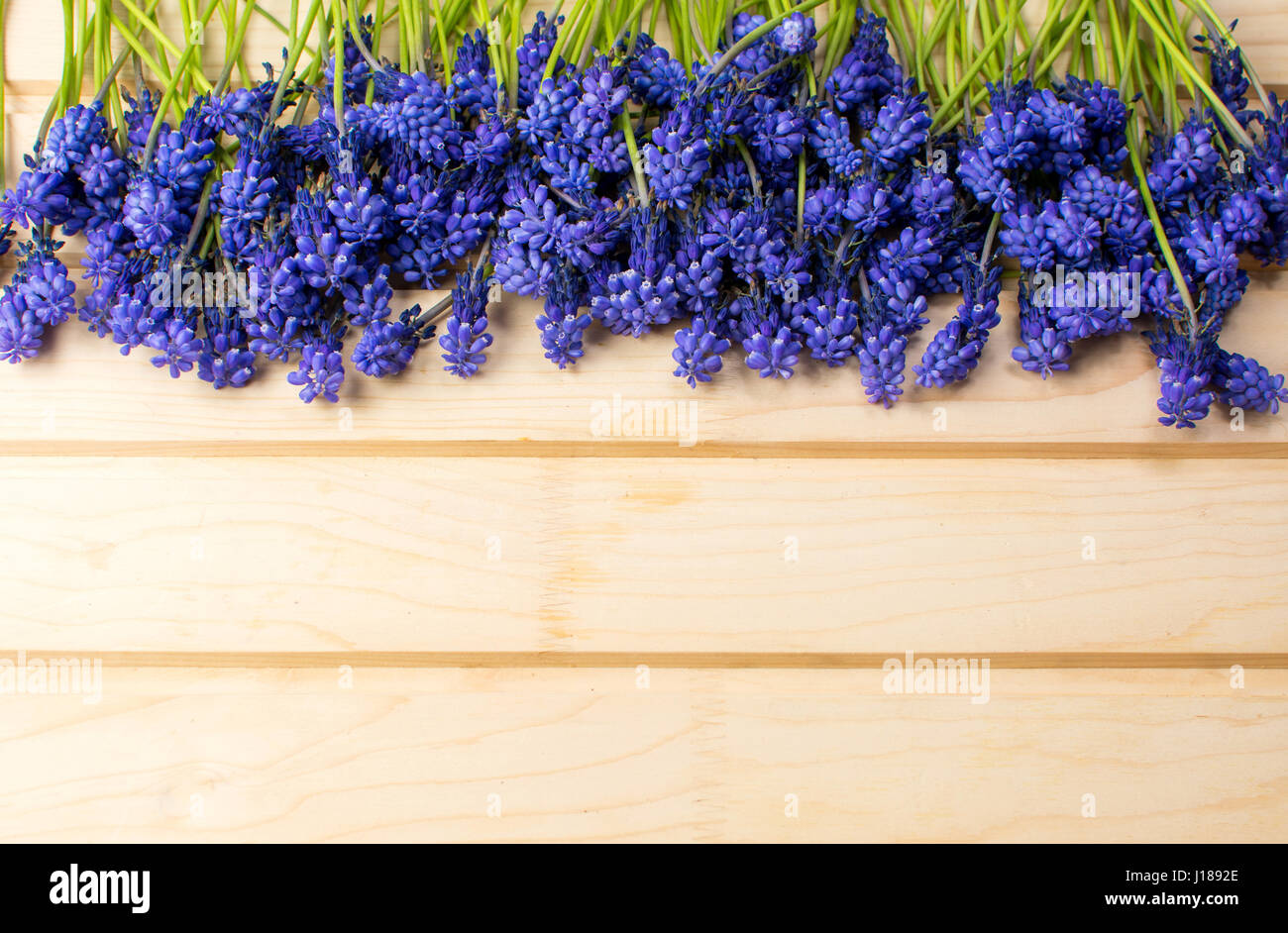 Hyacinth flowers on a wooden board with copyspace Stock Photo