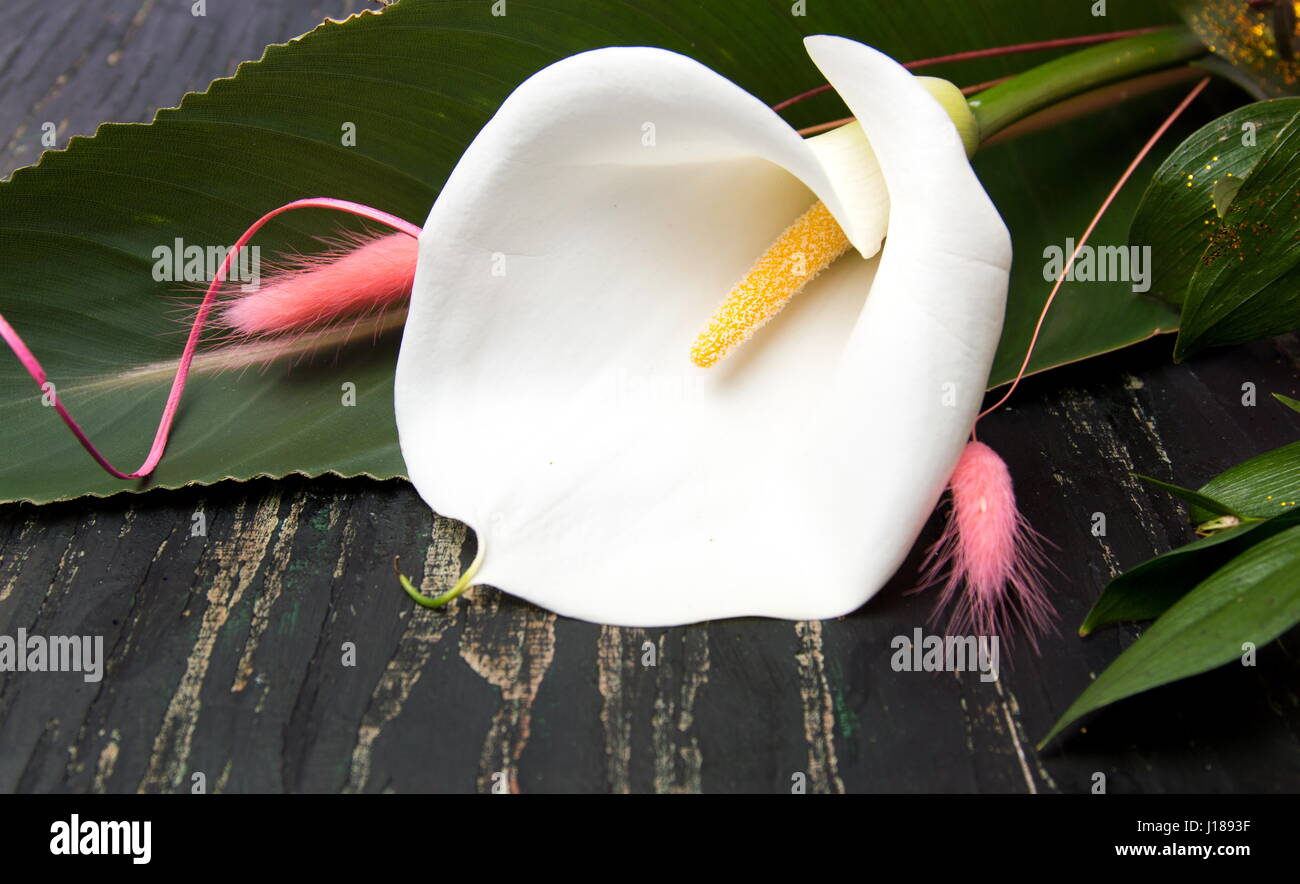 Calla Lily flower decorated bouquet on a table Stock Photo