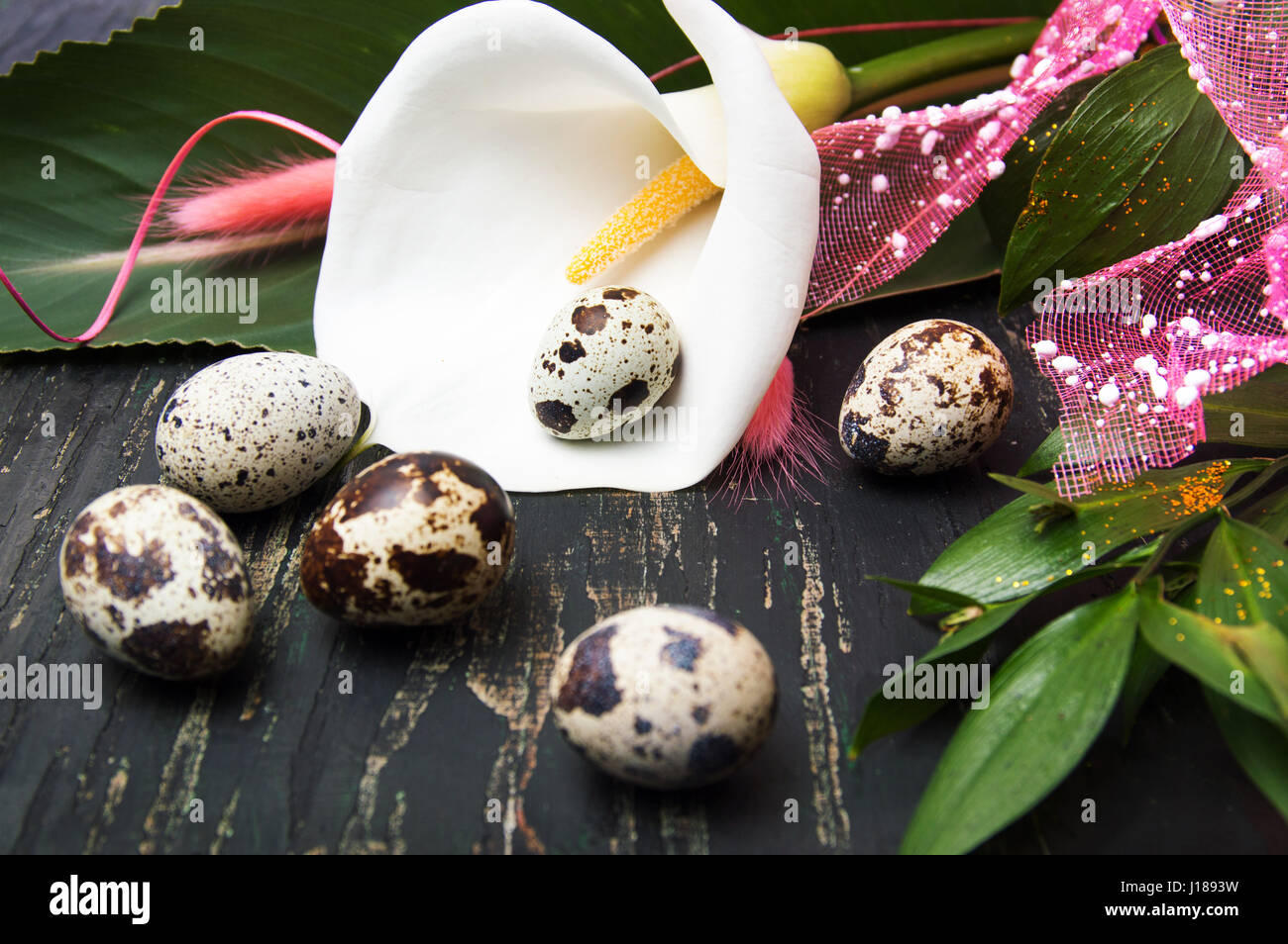Calla Lily flower and fresh quail eggs on a table Stock Photo