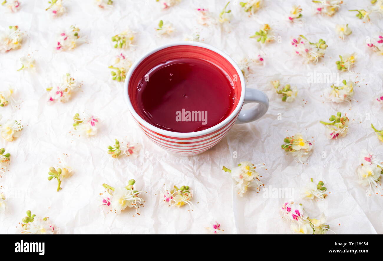Cup of tea and chestnut blossom spring flowers Stock Photo