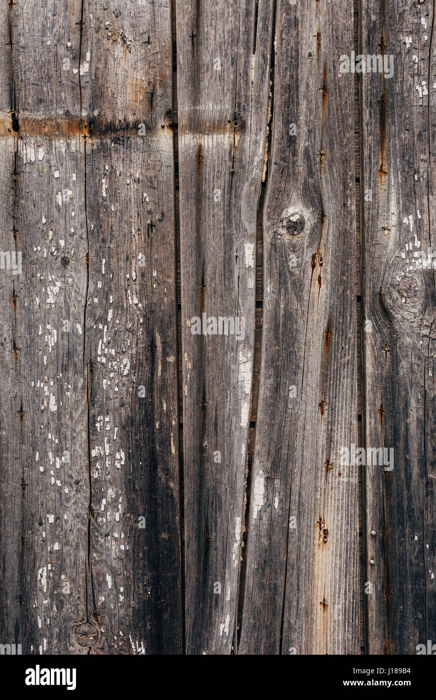 Texture of a tree Stock Photo - Alamy