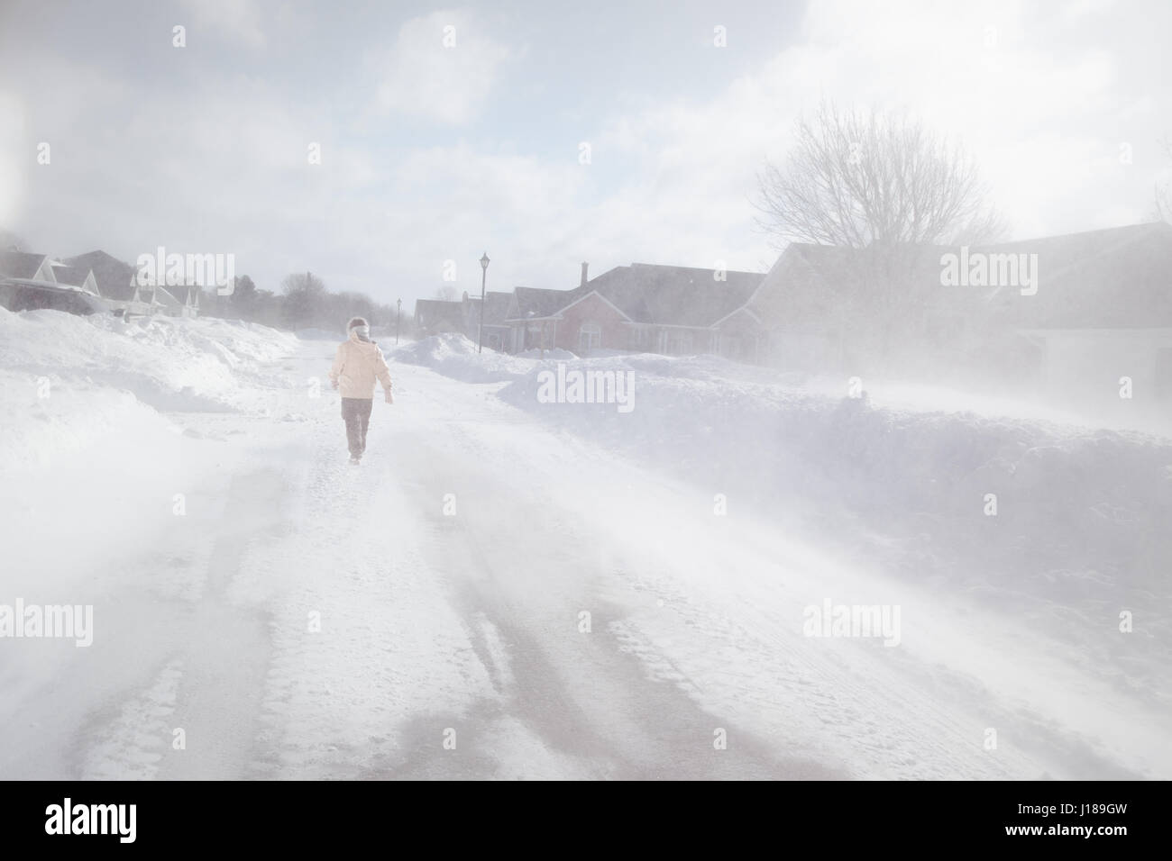 Woman out walking in a North American suburb during a blizzard. Stock Photo