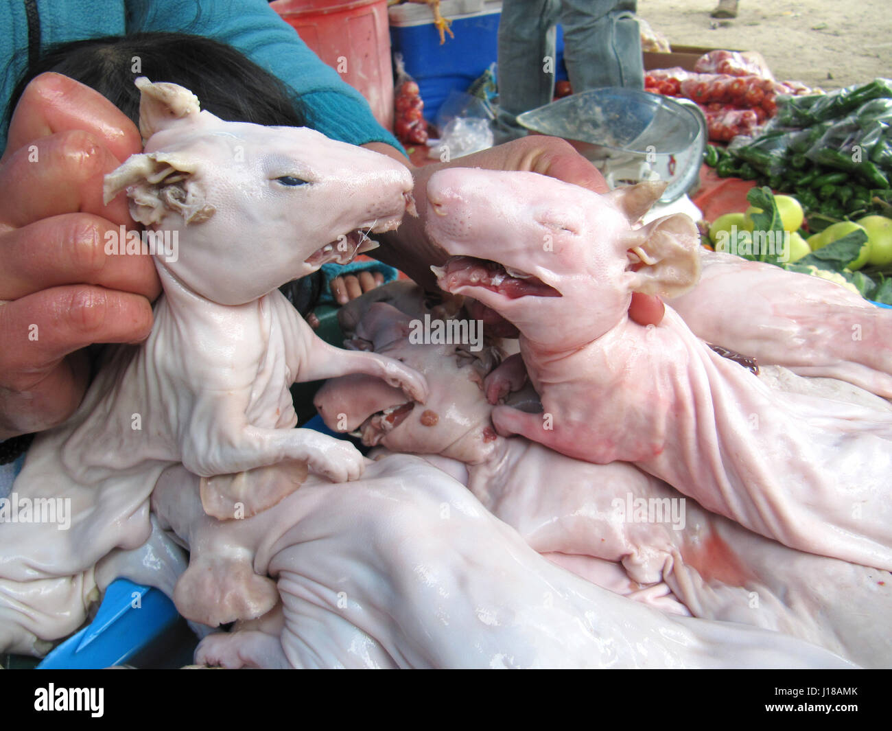 close up of skinned guinea pigs for sale at Ecuadorian market Stock Photo